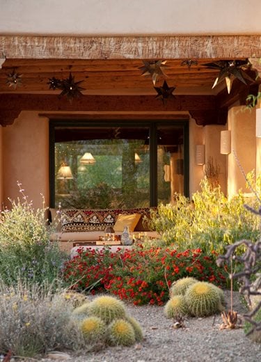 xeriscape garden in bloom