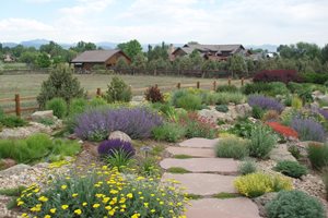 Xeriscape Garden Path
J&S Landscape
Longmont, CO