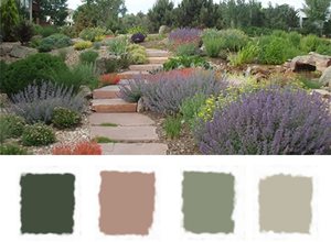 Xeriscape
Landscaping Network
Calimesa, CA