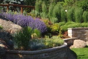 Xeriscaped Hillside
J&S Landscape
Longmont, CO