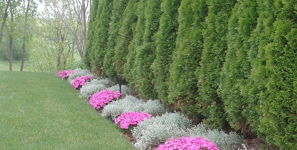 Zaremba and Company Landscape
Clarkston, MI