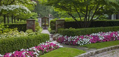 zaremba and company landscape