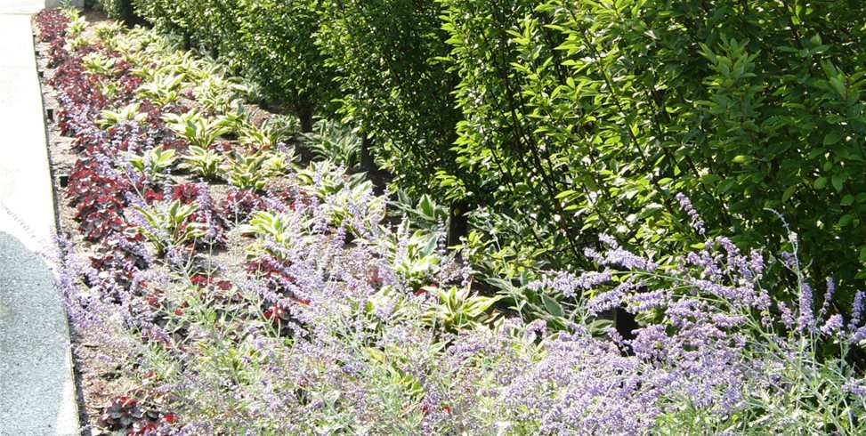 Zaremba and Company Landscape
Clarkston, MI